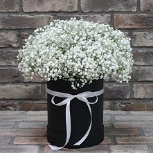 Цветочная композиция из Гипсофила в шляпной коробке #REPLACE_PRED# Орбельяновке